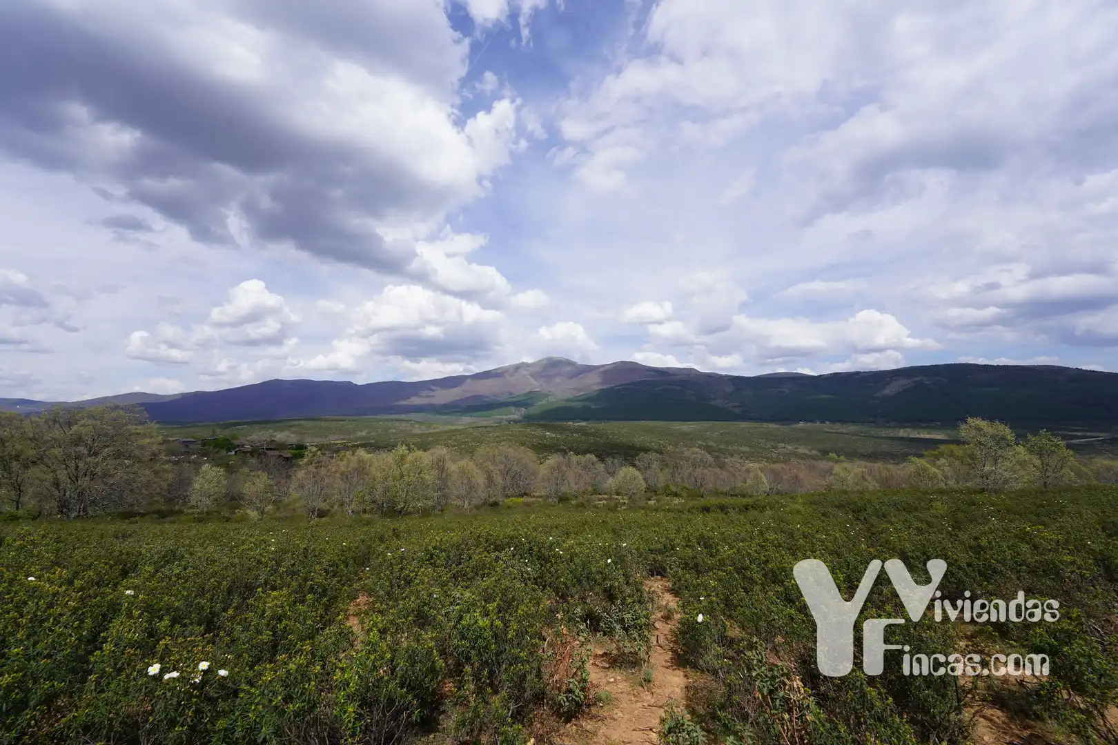 Terreno rústico en venta en Campillo de Ranas, imagen 7