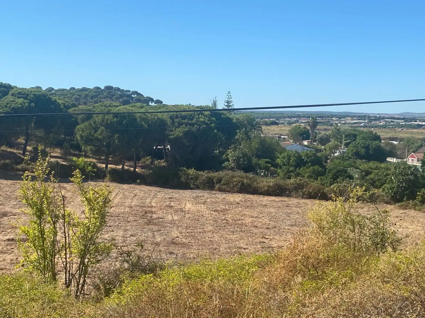 Finca rústica en venta en Aljaraque