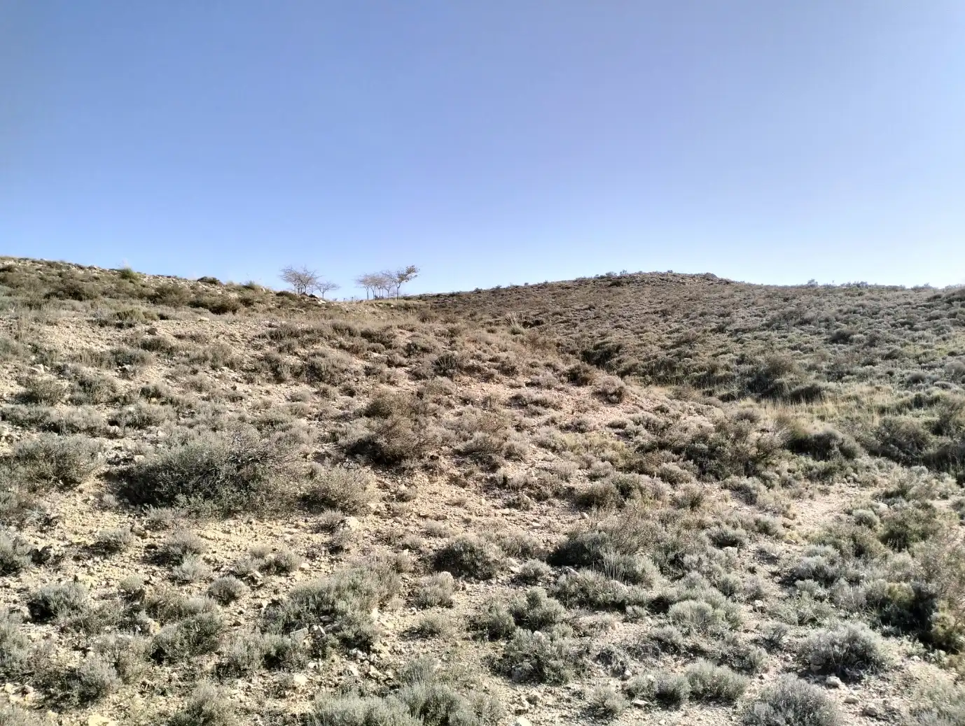 Residencial en venta en Munera