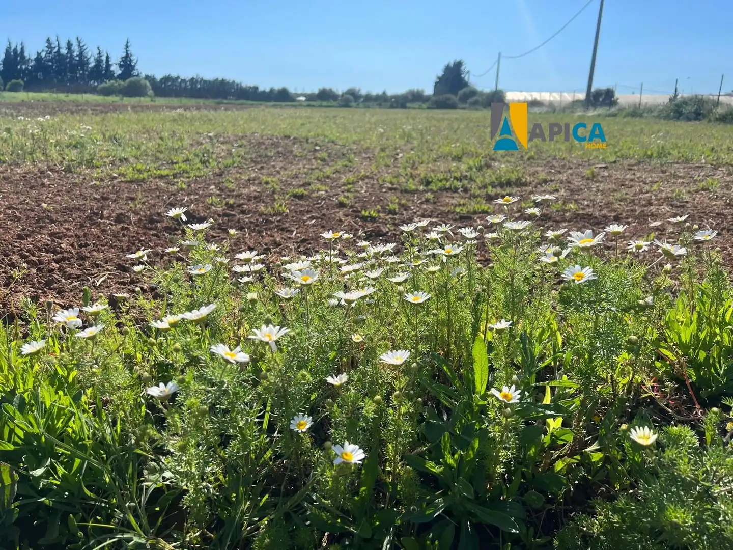 Terreno en venta en Conil de la Frontera