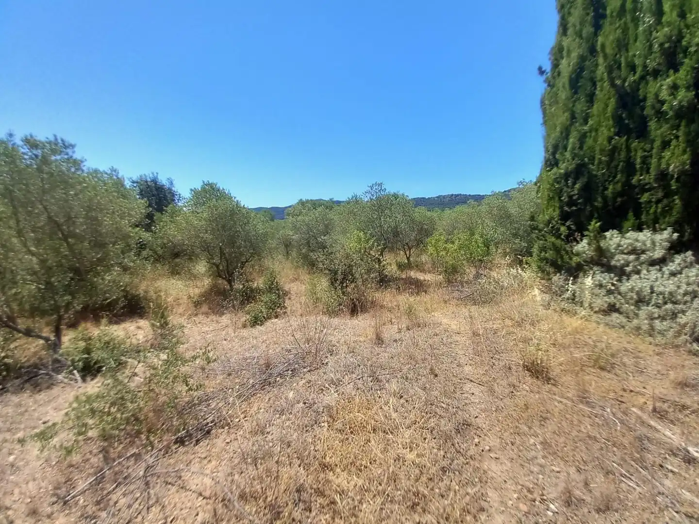 Terreno residencial en venta en Urbanitzacio Garrigots, imagen 15
