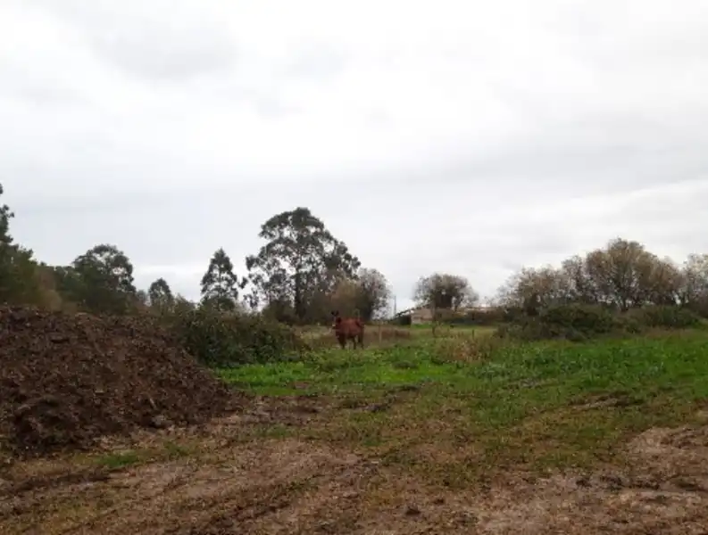Residencial en venta en OVIÑANA Polígono 13 Parcela , Cudillero