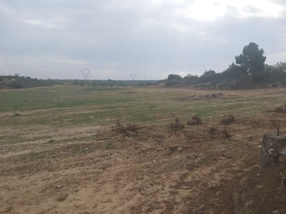 Finca rústica en venta en Seròs