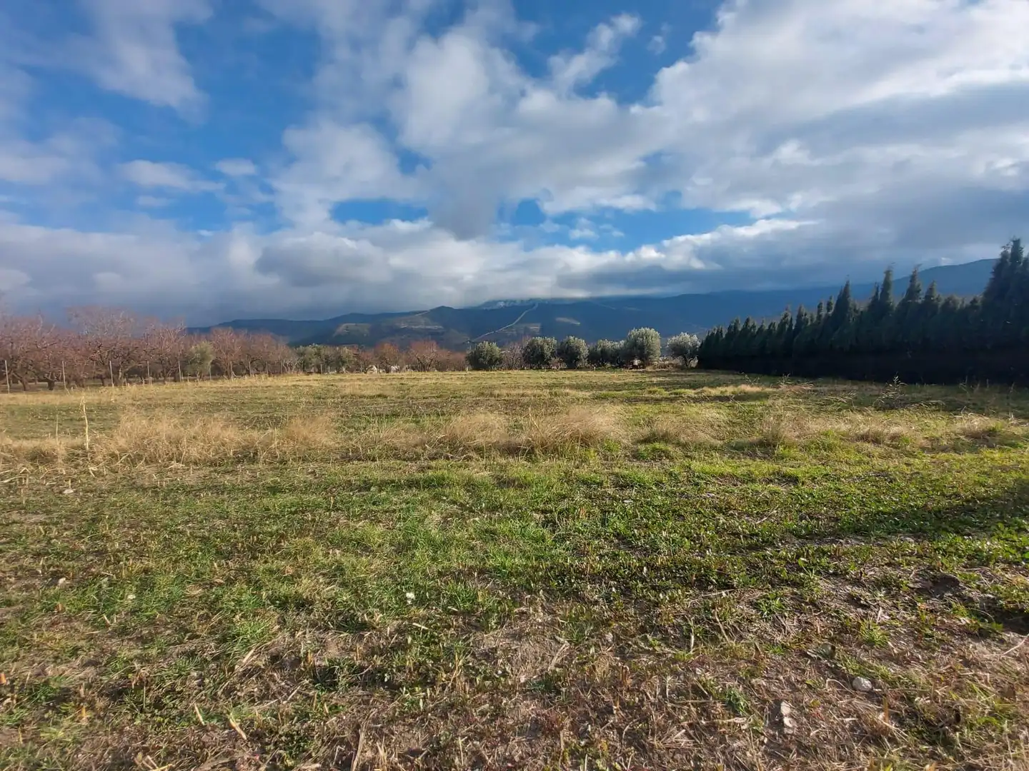 Rural land for sale in Laujar de Andarax, imagen 11