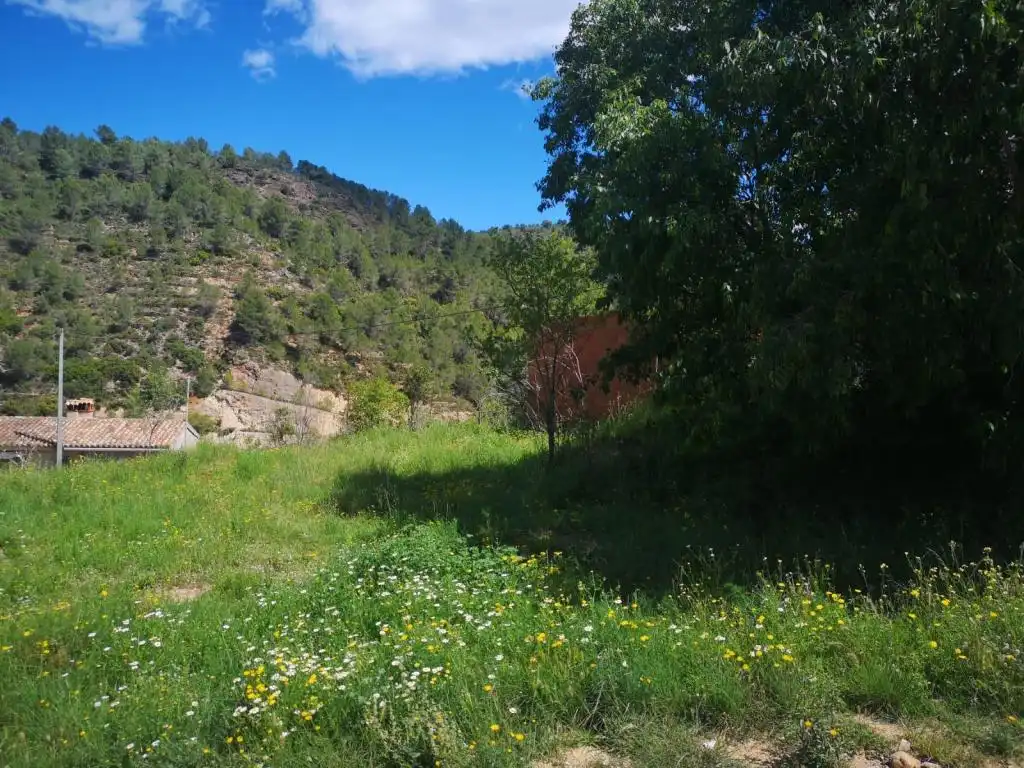 Terreny rústic en venda a PEDRALBA, imagen 5