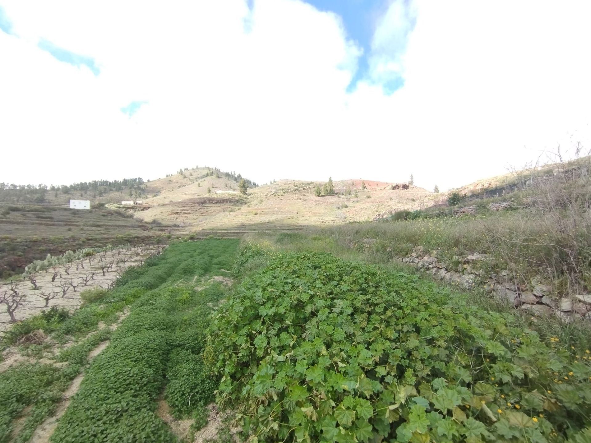 Residencial en venta en Vilaflor de Chasna