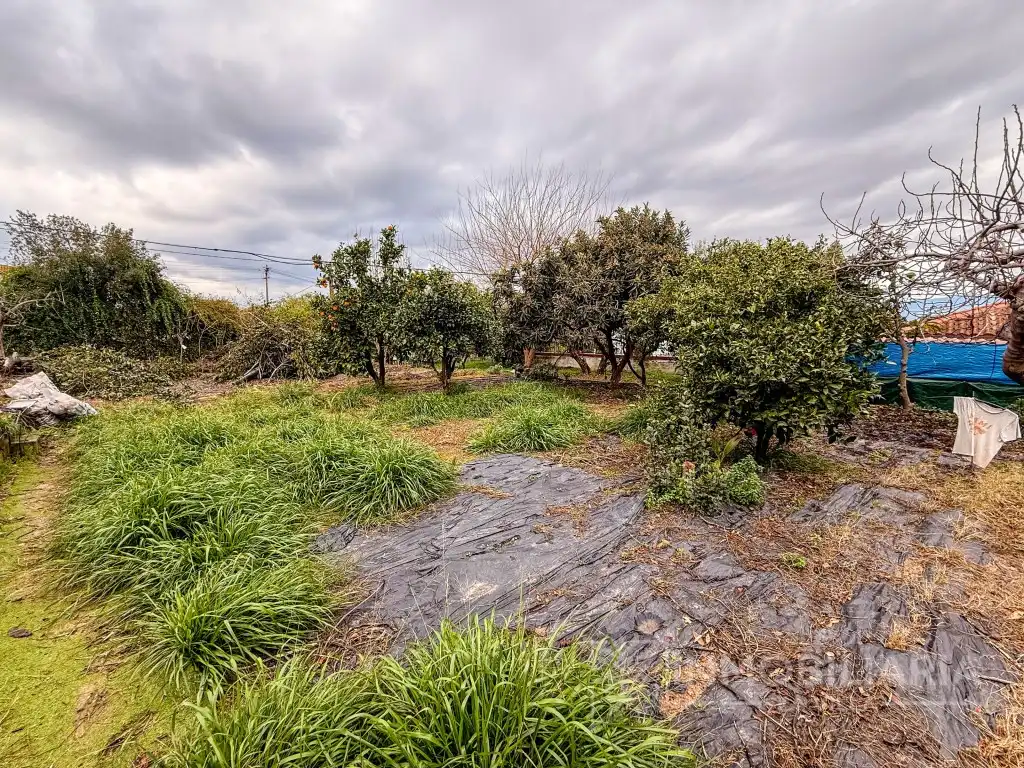 Finca rústica en venda a Partida Chicharra La, Centro
