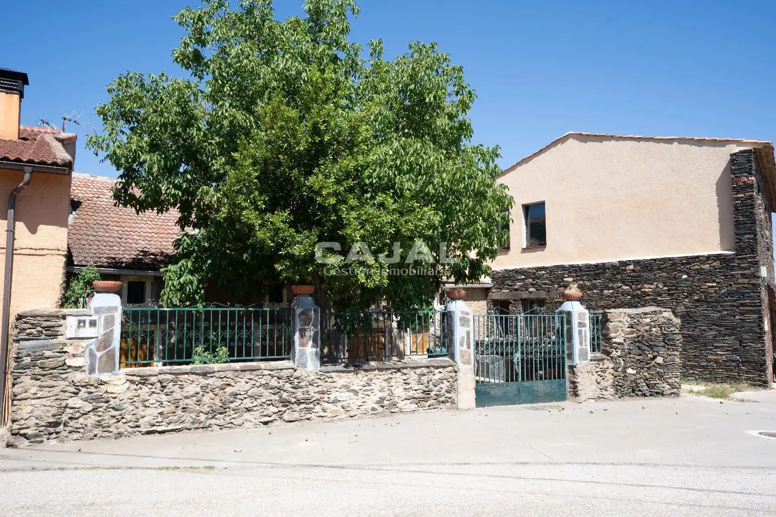 Vista exterior de Casa o chalet en venta en Riaza con Jardín privado