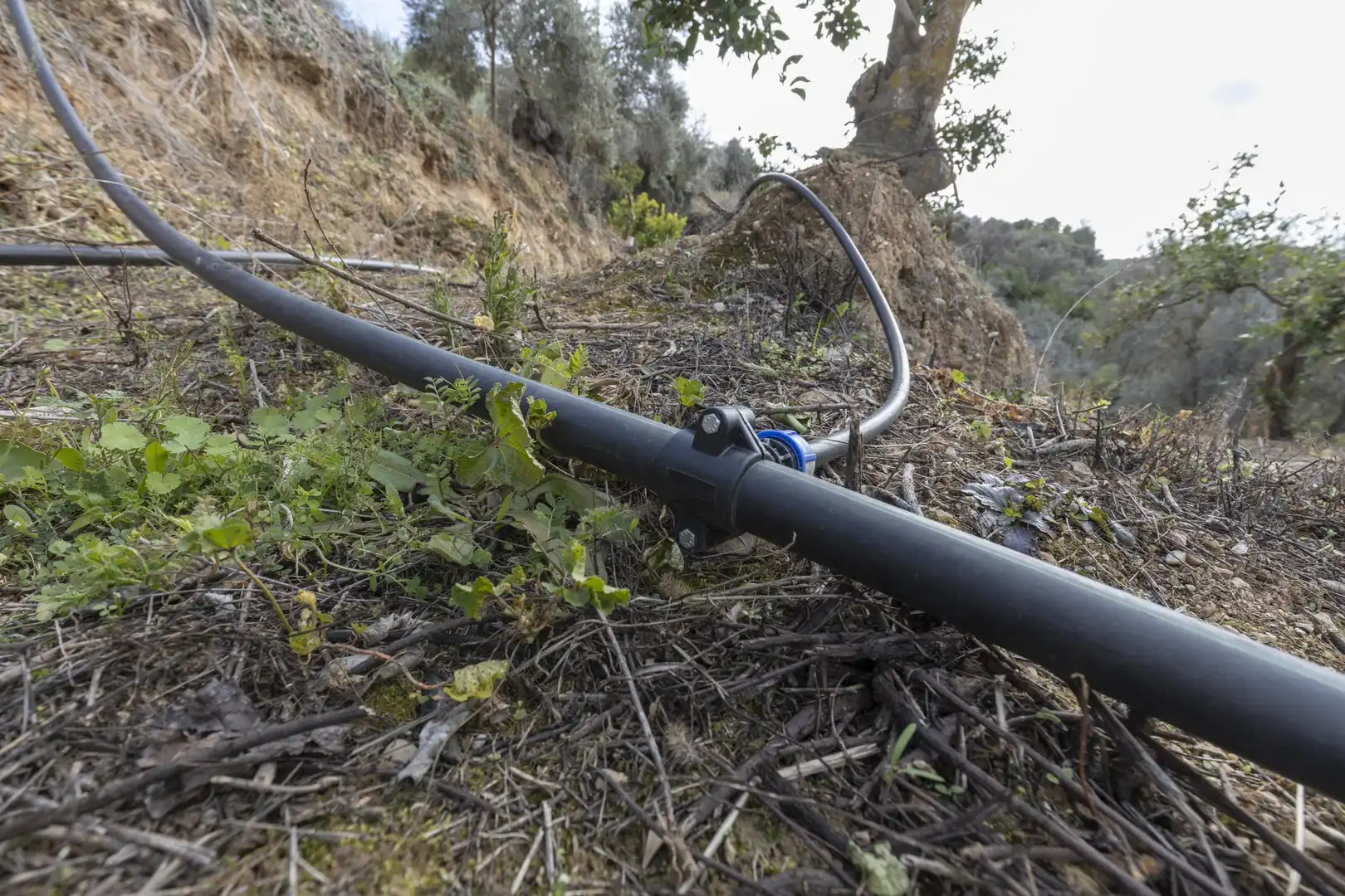 Finca rústica en venta en El Valle, Serón