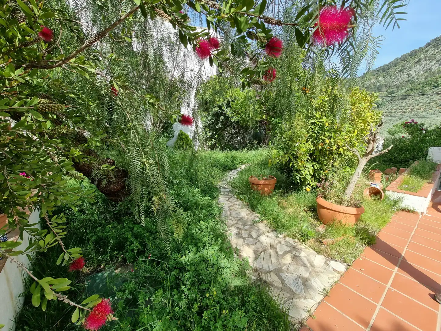 Xalet amb jardí en venda a Rute, imagen 8