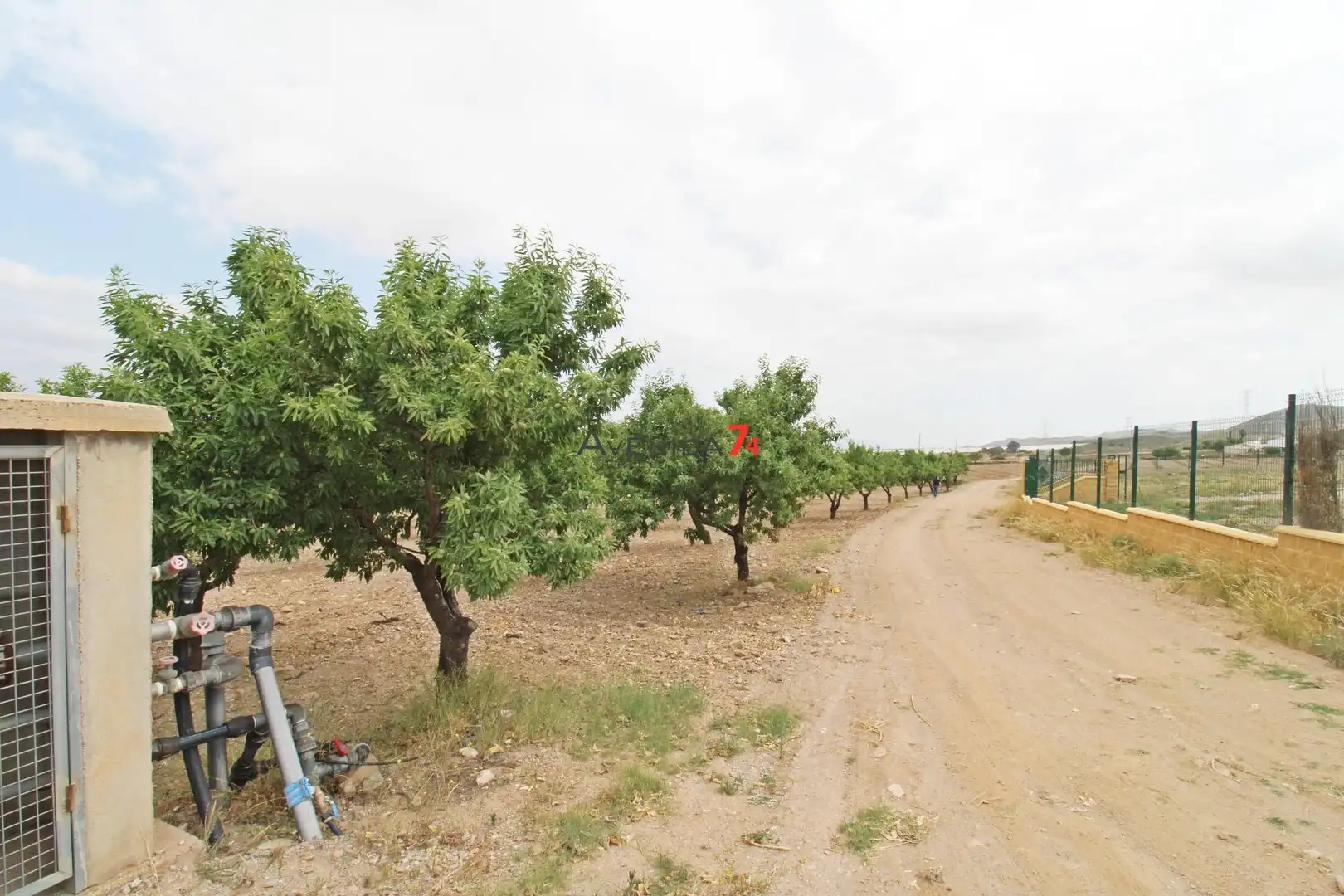 Terrains et parcelles à vendre à Pedanías Sur, imagen 16