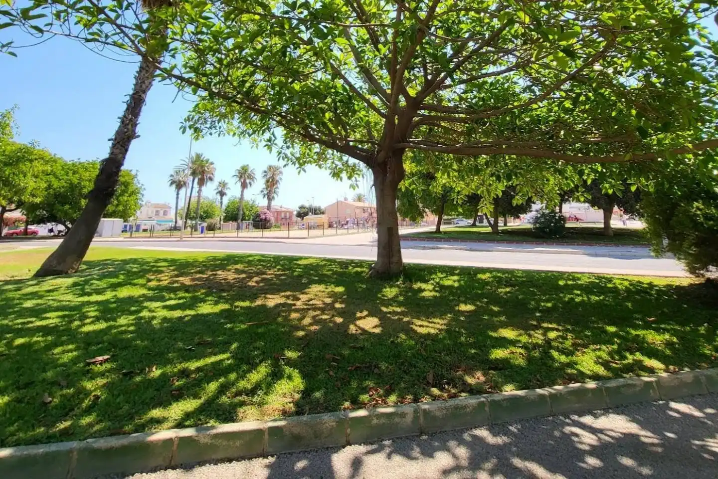 Vista exterior de Casa o xalet en venda en Torrevieja amb Aire condicionat, Calefacció i Jardí privat