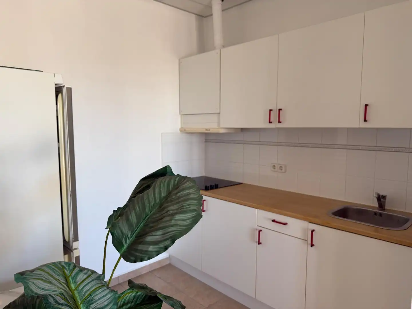Chalet en venta en Oltamar - Cucarres, imagen 23