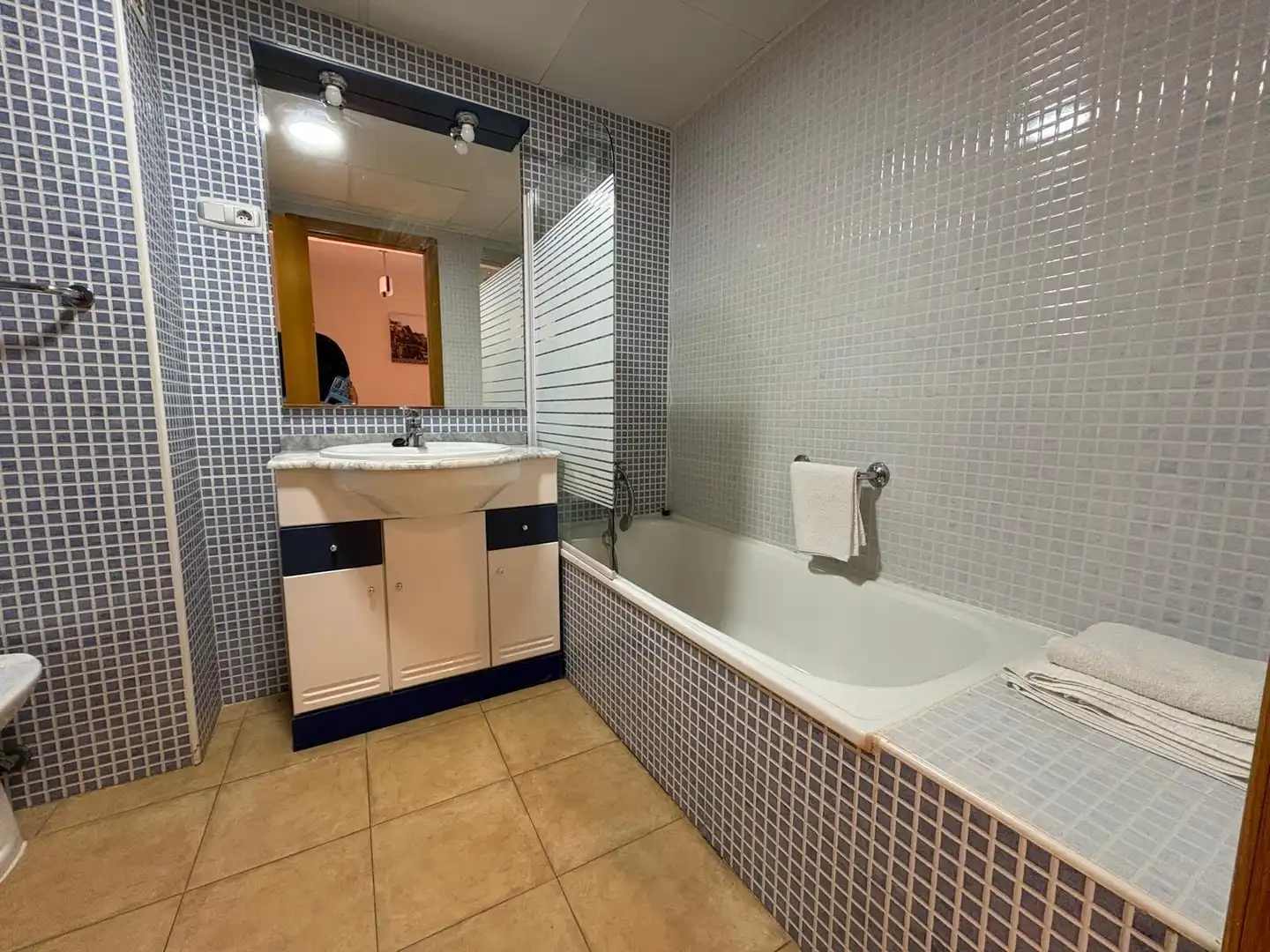 Baño de Apartamento en venta en Águilas con Terraza