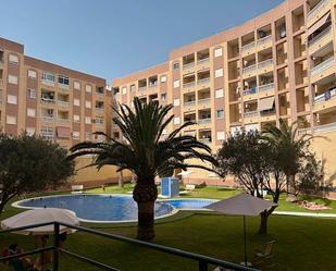 Piscina de Apartament de lloguer en Torrevieja amb Aire condicionat i Balcó