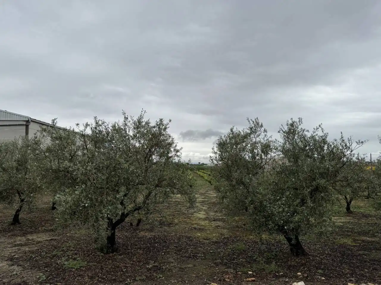 Chalet en venta en Villanueva de la Serena, imagen 28