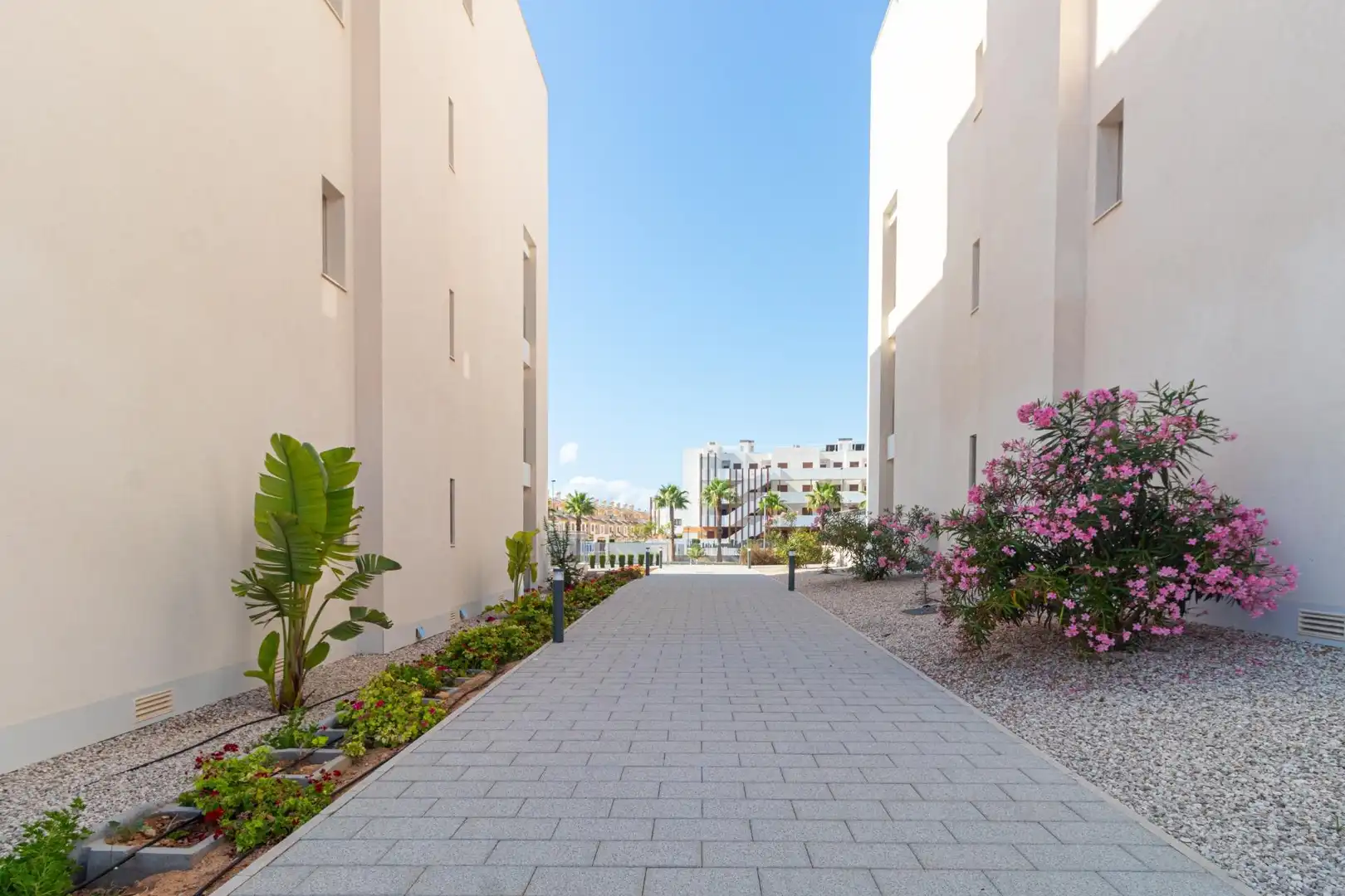 Penthouse with pool for sale in Calle Estragón, imagen 33