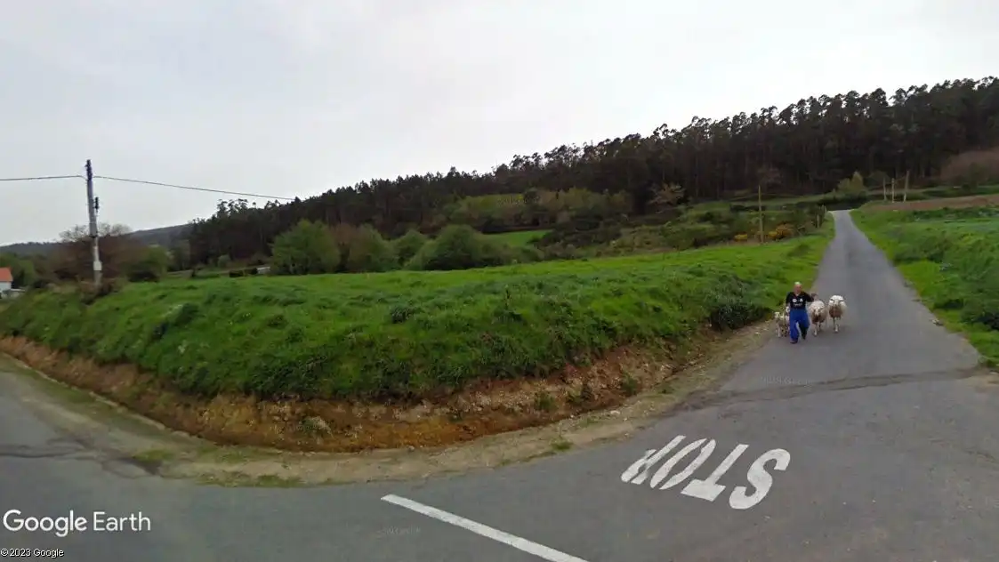Rural land for sale in Zas