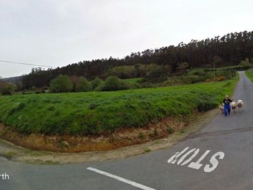 Terreny rústic en venda a Zas