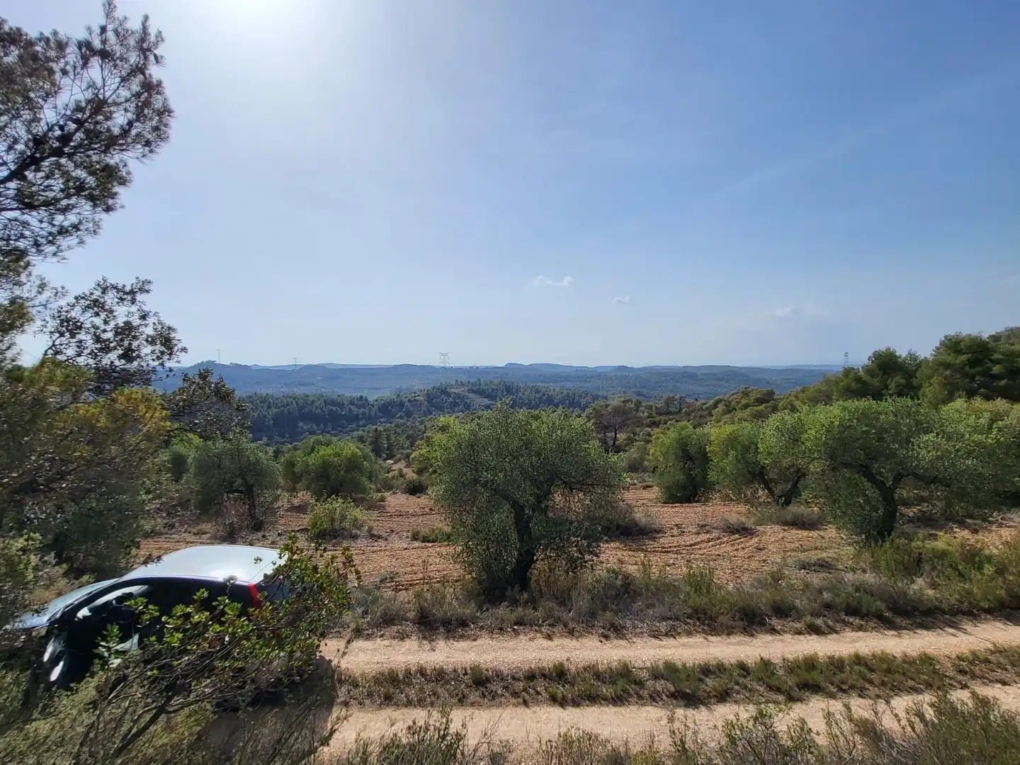 Terreno rustico in vendita a Calle GARRIGUES, imagen 2