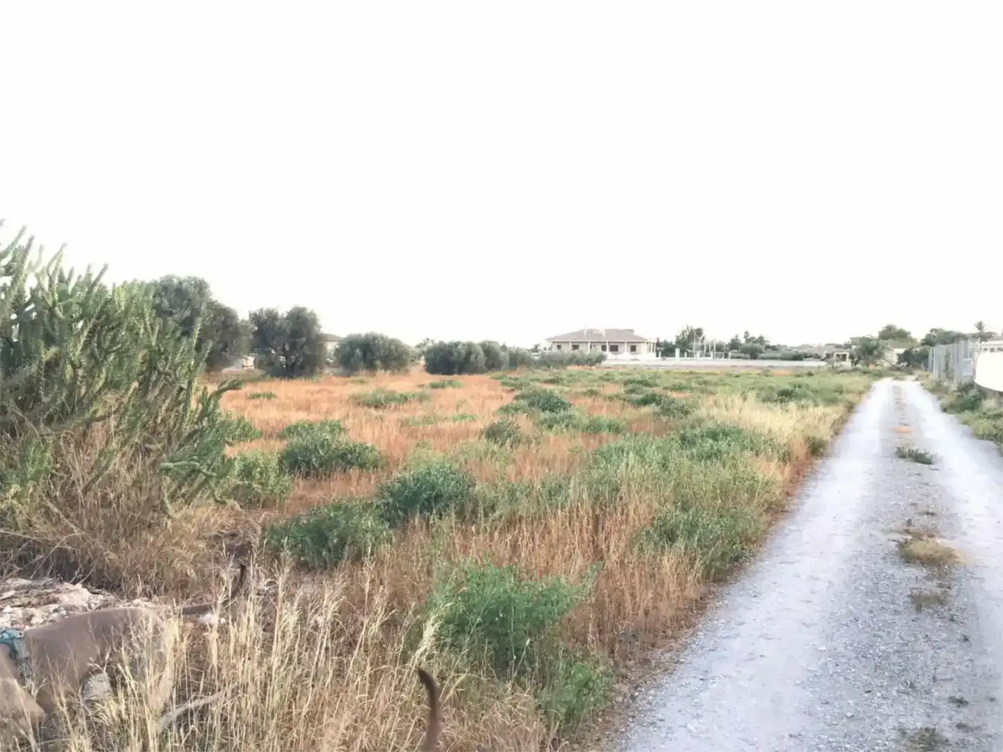 Finca rústica en venda en Lorca
