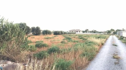 Foto 5 de Finca rústica en venta en Diseminado Tiata, 152, Tiata, Lorca