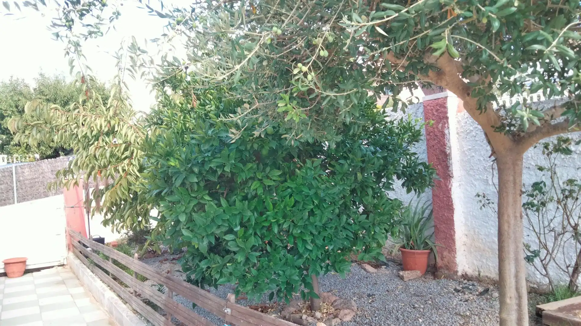 Garden of Houses for sale in Piera  with Heating, Terrace and Swimming Pool