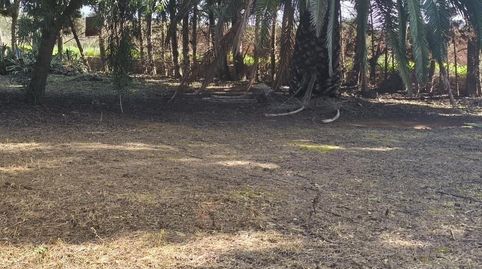 Foto 5 de Finca rústica en venta en Chipiona Norte, Chipiona