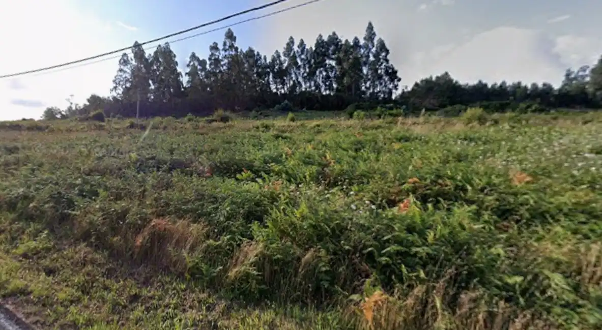 Terreny rústic en venda a Lugar Ferreria 2T, imagen 3