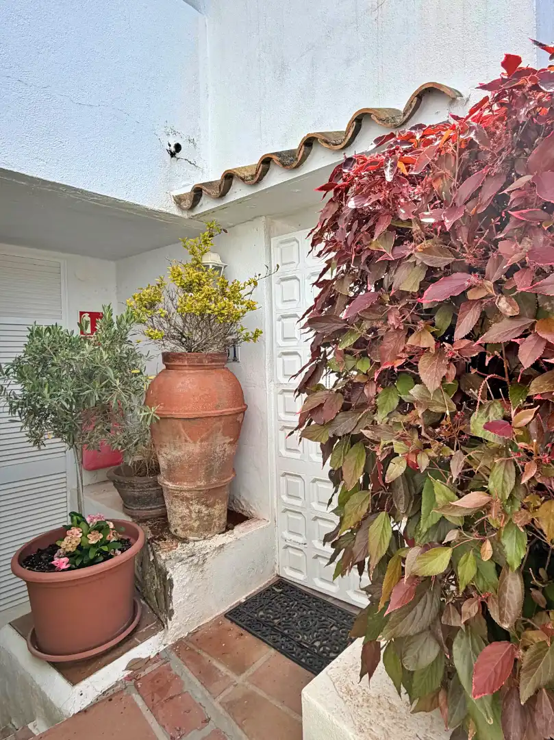Ground floor for rent in Marbella, Málaga