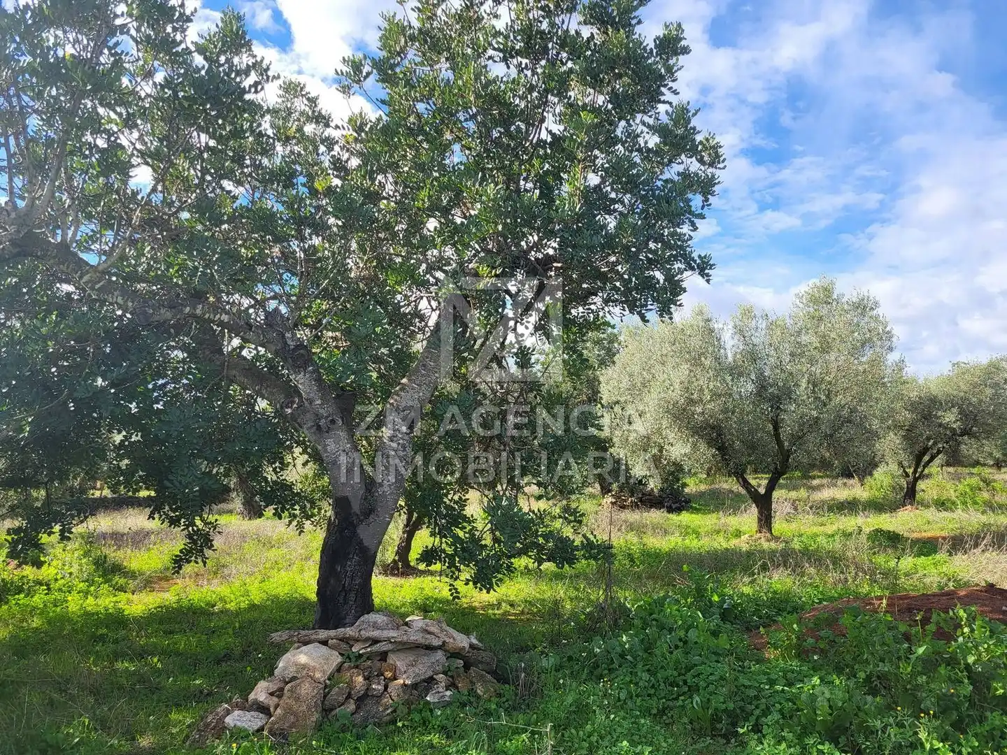 Rural land for sale in Vilarets, imagen 6