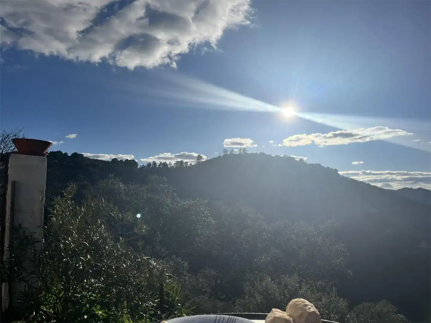 Vista exterior de Finca rústica en venda en Pozoblanco amb Jardí privat, Piscina i Balcó