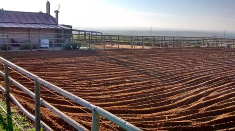 Photo 3 of Country house for sale in Burguillos, Sevilla