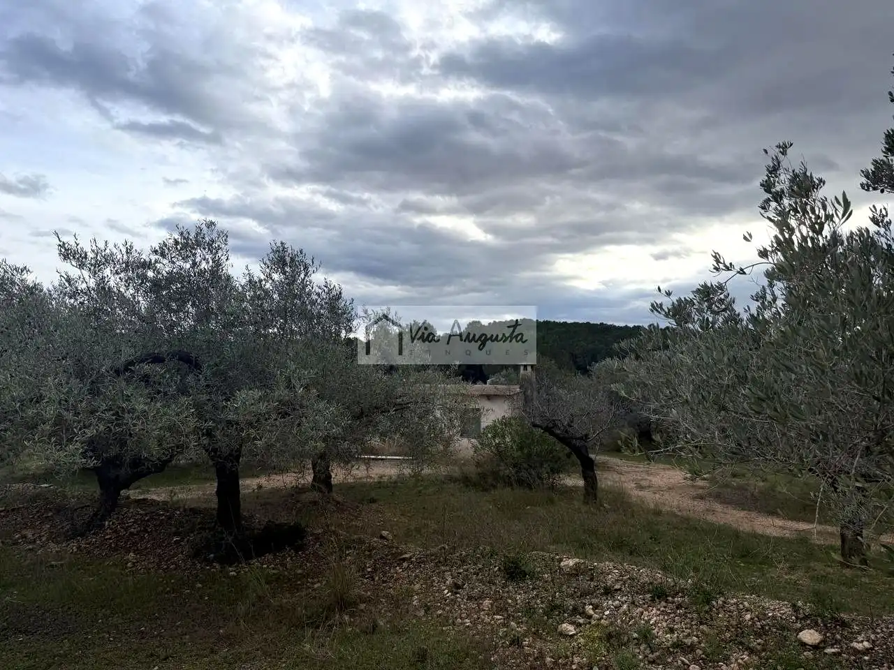 Grundstücke zum Verkauf in L'Ametlla de Mar 