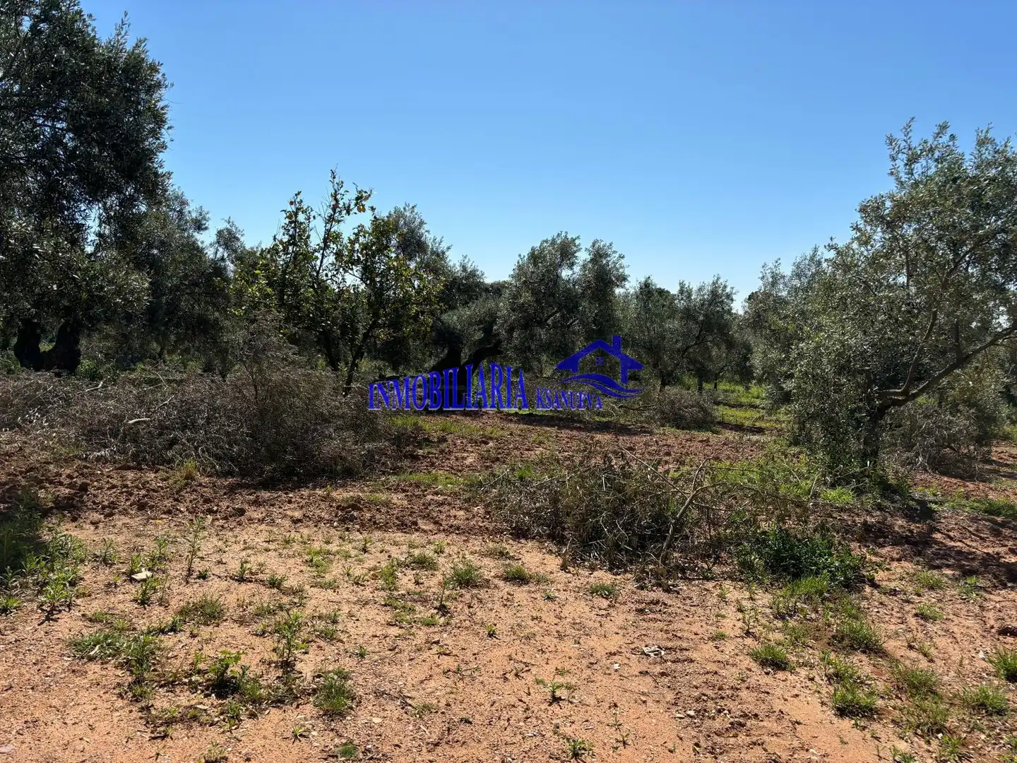 Casa rústica en venta en Montoro, imagen 28