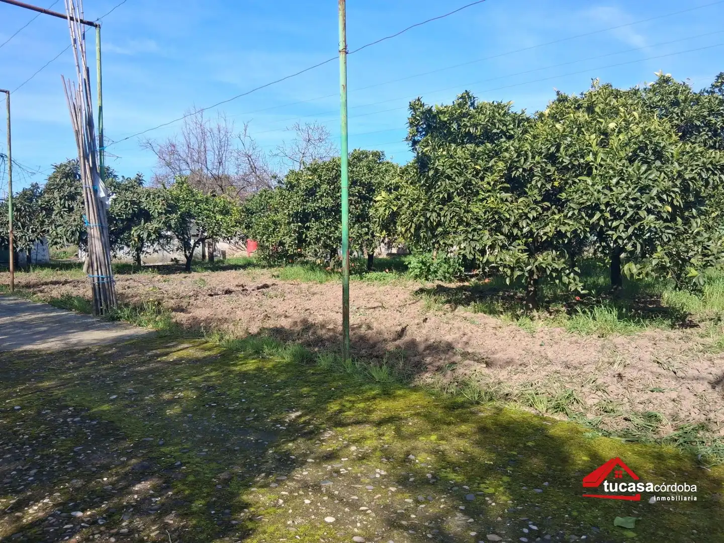 Finca rústica en venda en Córdoba