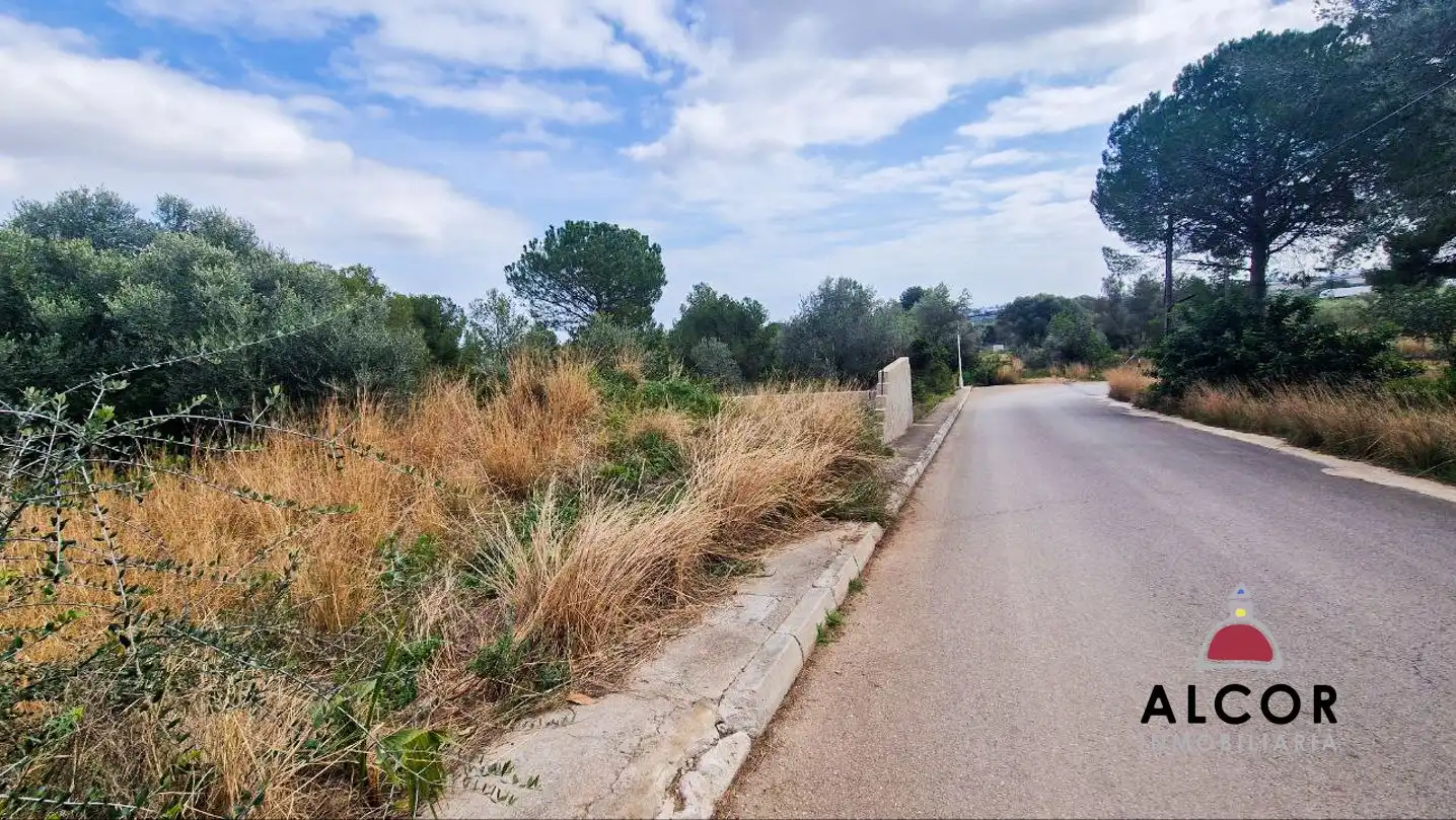 Finca rústica en venda en Benicarló
