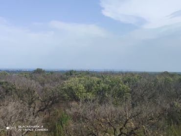 Rustikales Grundstück zum Verkauf in Torreblanca
