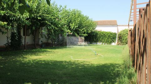 Foto 3 von Geschaftsraum zum Verkauf in Soledad, 10, Cózar, Ciudad Real