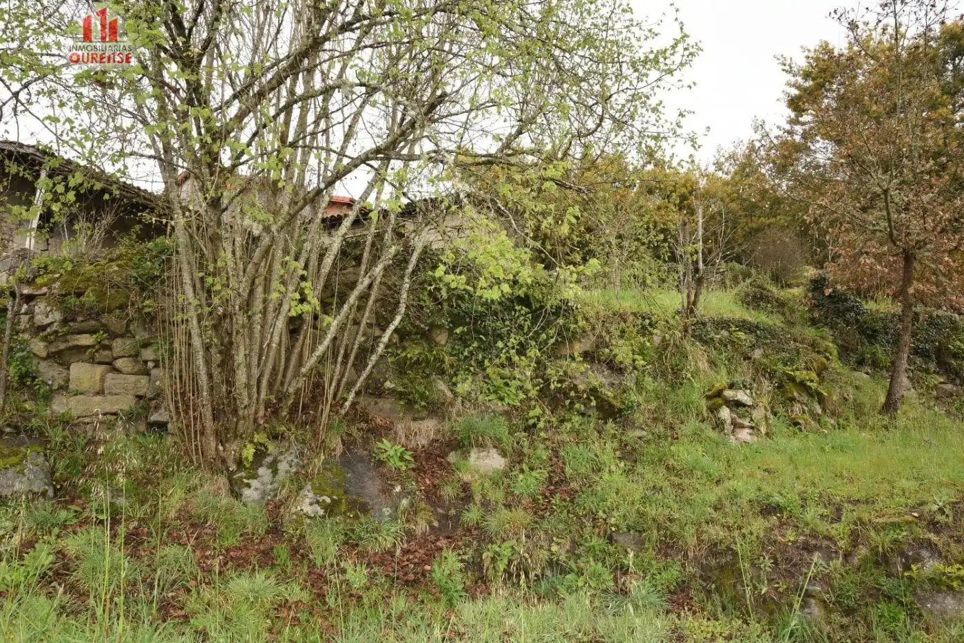 Casa o xalet en venda en Ourense Capital 