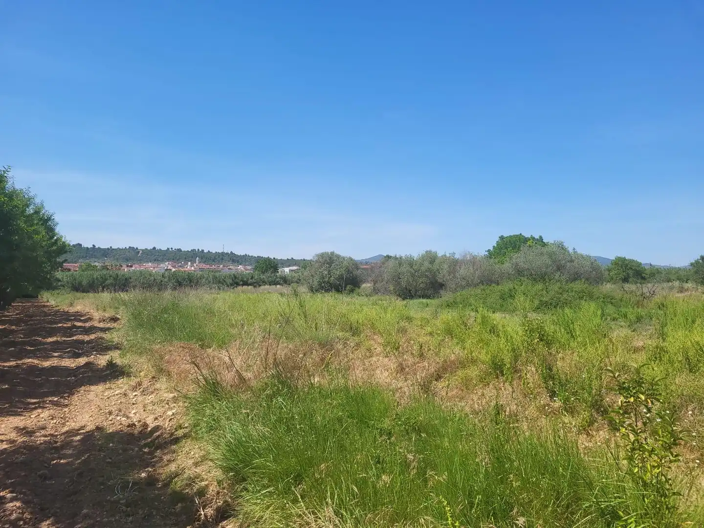 Terreny rústic en venda a Vall d'Alba, imagen 5