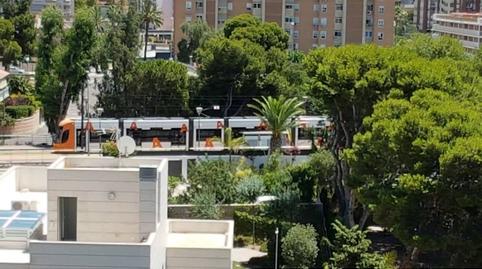 Photo 5 of Flat to rent in Albufereta, Alicante