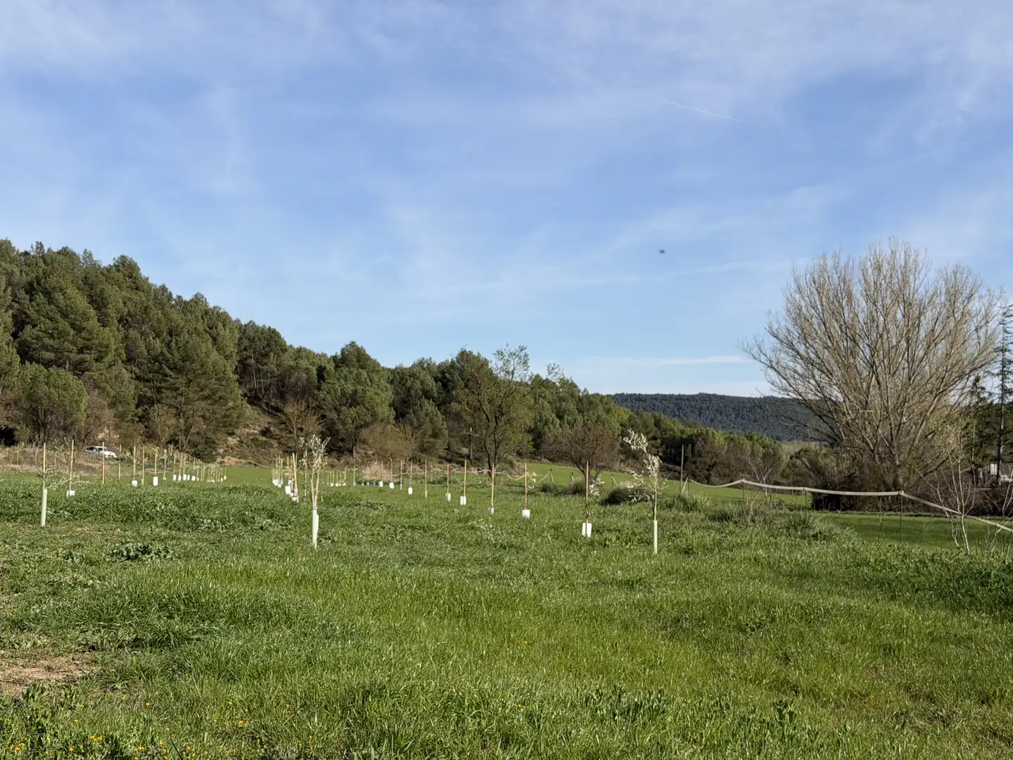 Terrenys i solars en venda a Balsareny, imagen 20