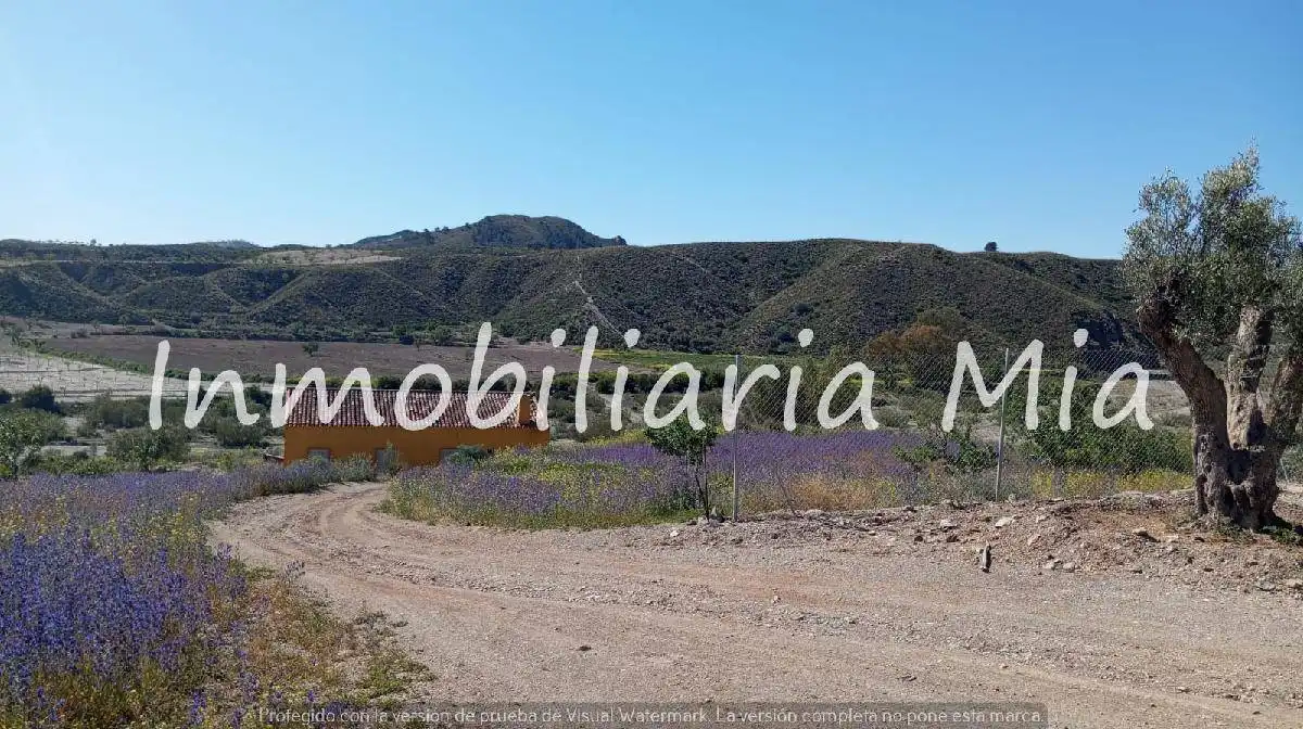 Casa o chalet en venta en Zarzalico