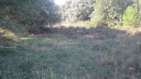 Terreno urbano en la urbanización de la Malla, la parcela consta de unos 4.722m2, parcela esquinera rectangular, gracias al desniv, imatge 4