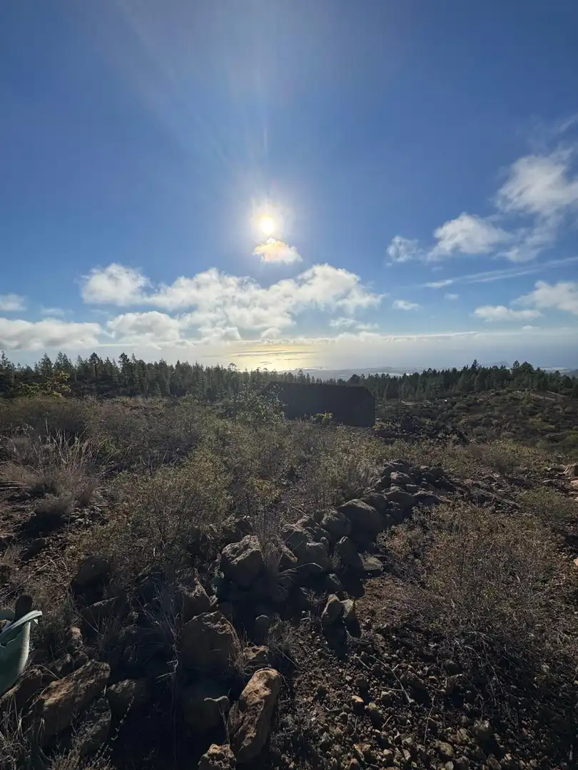 Vista exterior de Finca rústica en venta en Granadilla de Abona