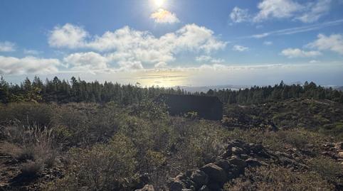 Photo 5 of Country house for sale in Cruz de Tea, Santa Cruz de Tenerife