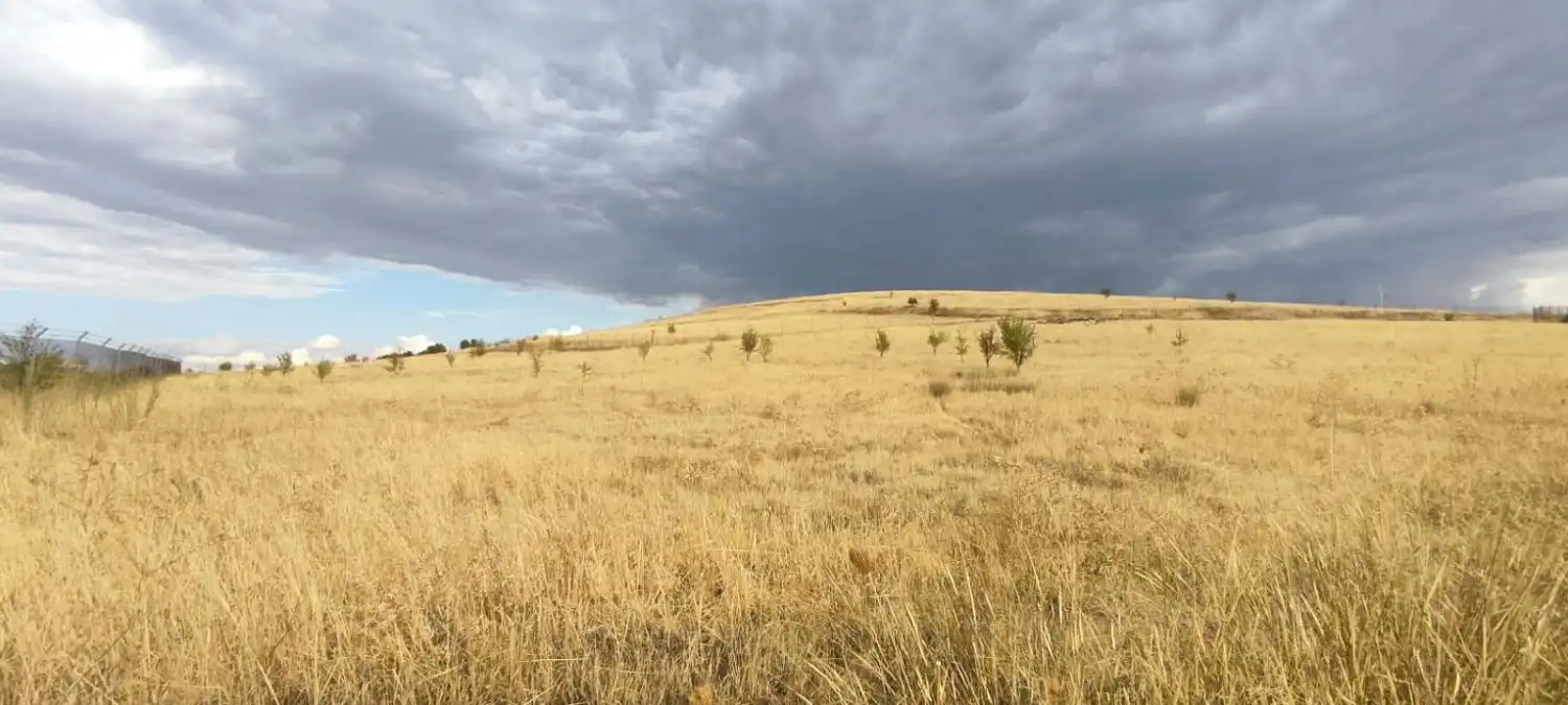 Lands and plots for sale in Valdepeñas, imagen 3
