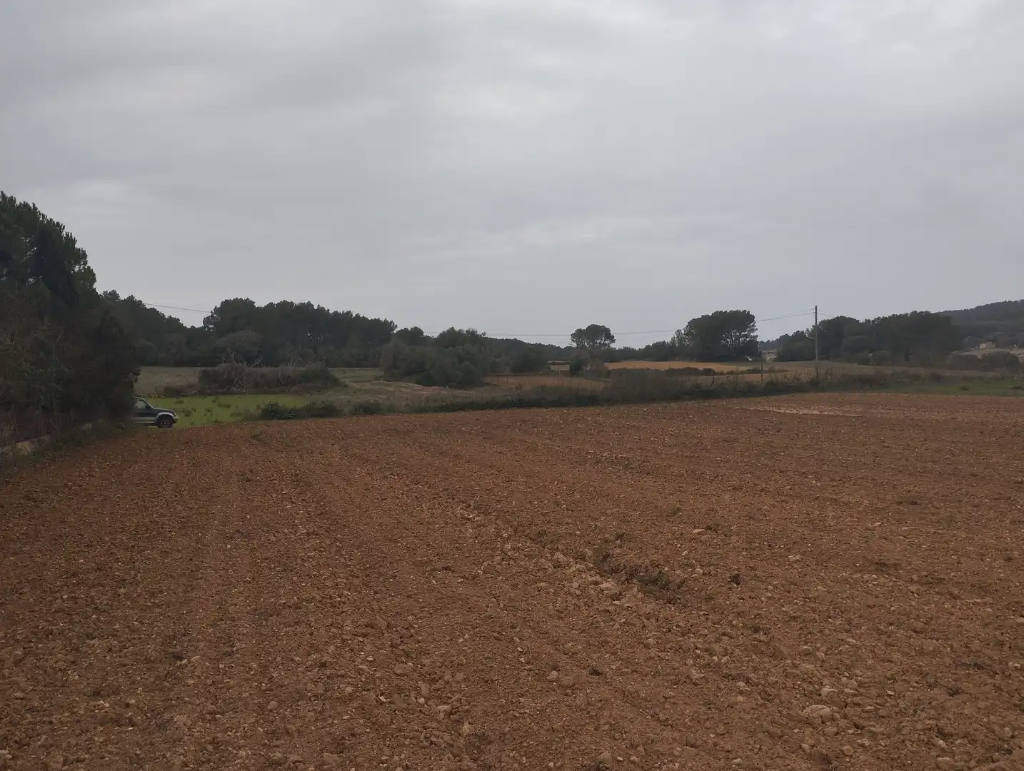 Rural land for sale in Algaida