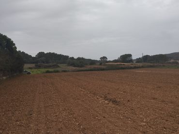 Terreno rústico en venta en Algaida